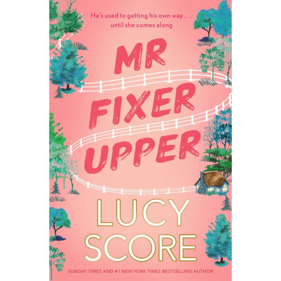 Mr. Fixer Upper