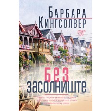 Без засолниште