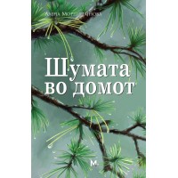 Шумата во домот