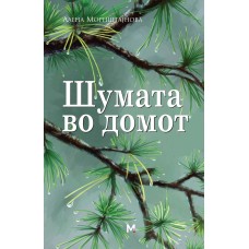 Шумата во домот