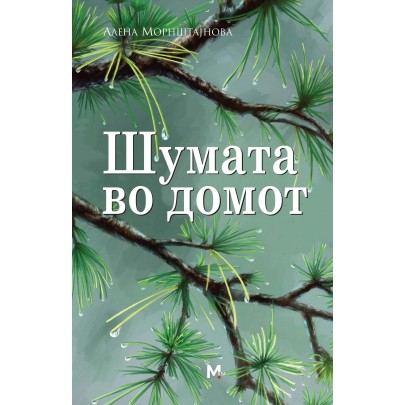 Шумата во домот