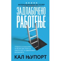 Задлабочено работење